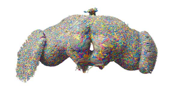 Multi-coloured image of all neurons in an adult fruit fly brain