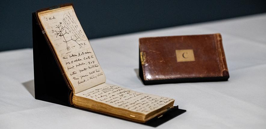 Two of Charles Darwin’s pocket notebooks. Cambridge University Library