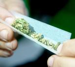 Female hands rolling a marijuana joint