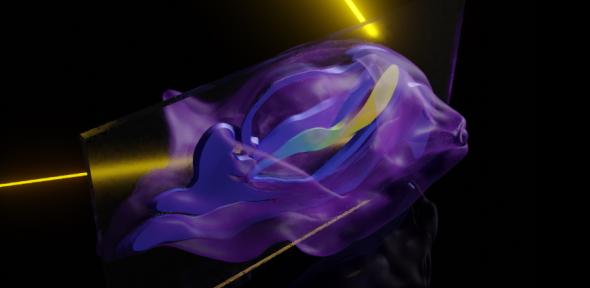 Laser-assisted analysis of a marmoset embryo after implantation