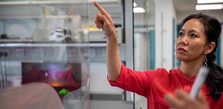 Serena Nik-Zainal at the Early Cancer Institute
